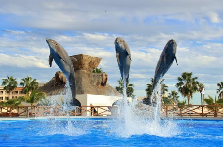Hostal Las Quintas San José del Cabo Екстериор снимка